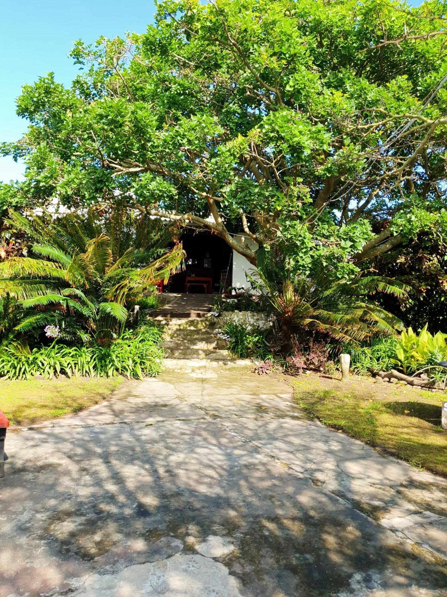 Sunset Bed And Breakfast Coffee Bay Exterior photo